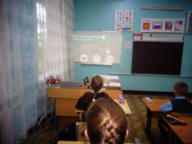Эколята.